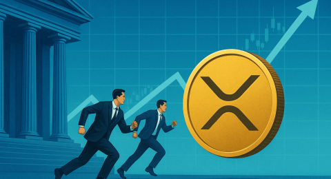 XRP-6